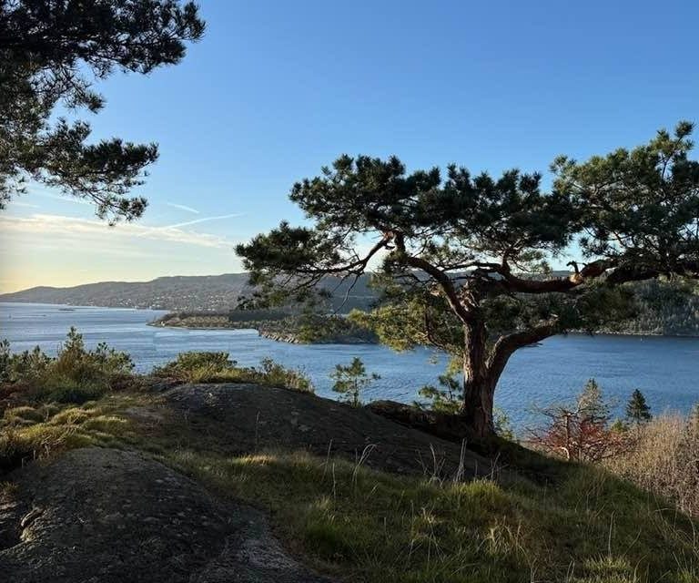 Etter: fjorden er åpen